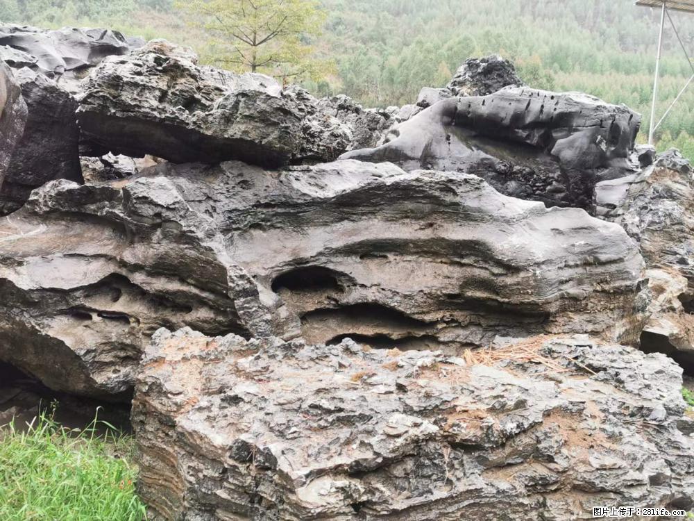 风景石、假山石大量有货，有需要的欢迎联系 - 新手上路 - 河源生活社区 - 河源28生活网 heyuan.28life.com