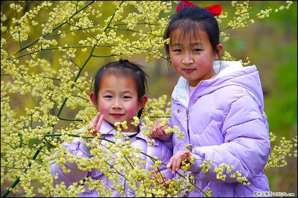 【春天，广西桂林灌阳县向您发出邀请！】米珠山前有片山苍子花在飘香 - 游山玩水 - 河源生活社区 - 河源28生活网 heyuan.28life.com