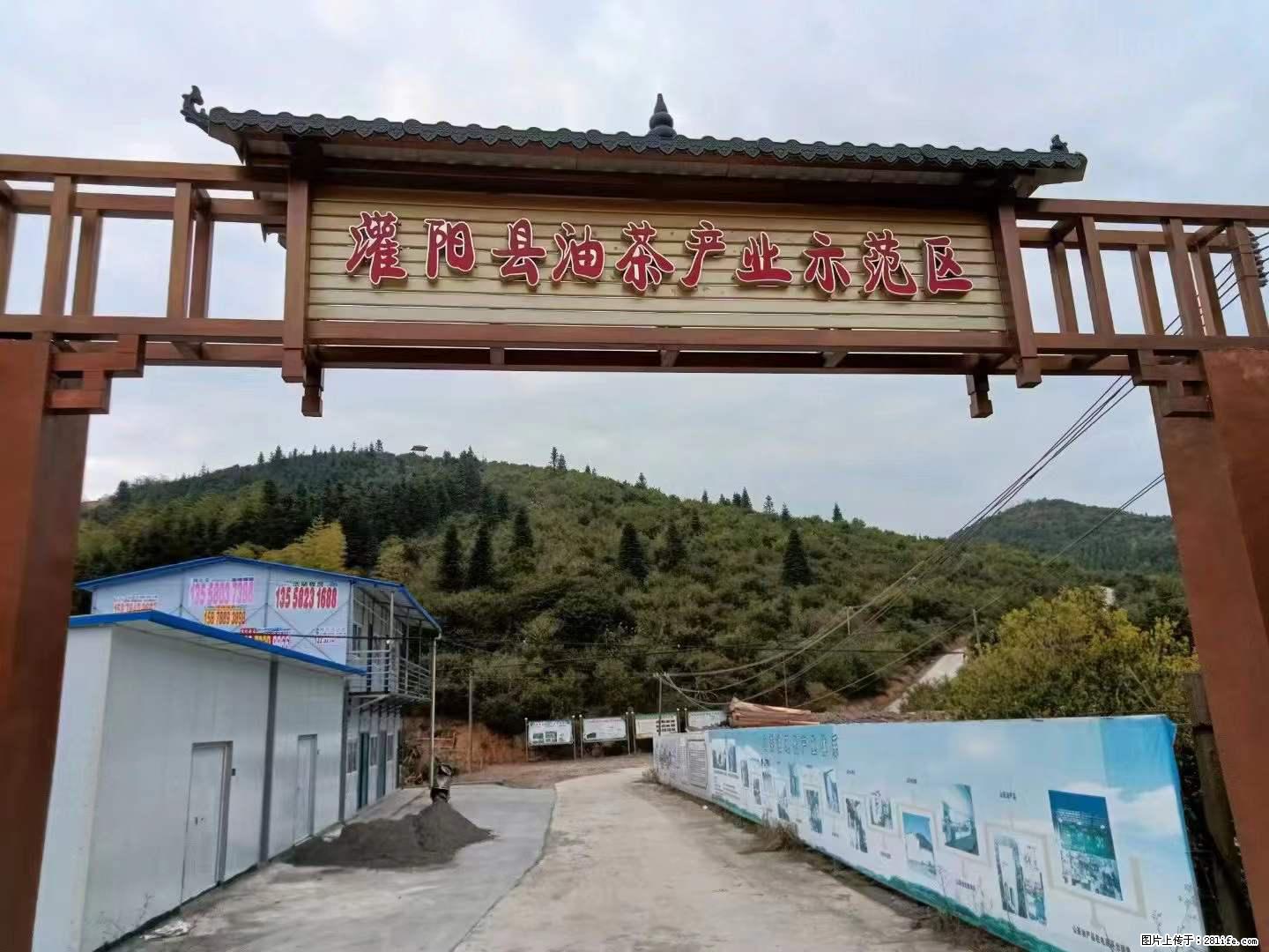 【灌阳县油茶产业示范区】一个有着充实的精神生活的人,对待身外之物自会有一种淡泊的态度 - 美食天地 - 河源生活社区 - 河源28生活网 heyuan.28life.com