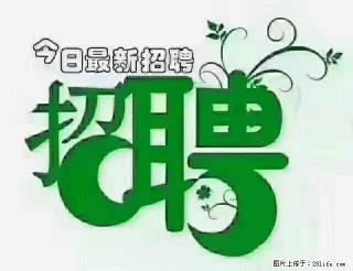 上海青浦区招仓管 - 河源28生活网 heyuan.28life.com