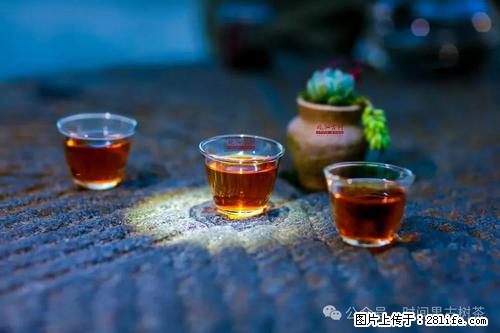 时间果百年古树2025年春红茶 - 购物交流 - 河源生活社区 - 河源28生活网 heyuan.28life.com