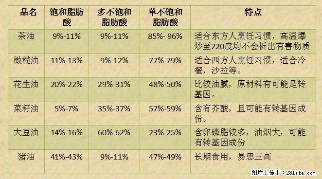 揭秘茶油的5大核心营养成分!被称为人体健康的“守护盾”! - 河源生活资讯 - 河源28生活网 heyuan.28life.com