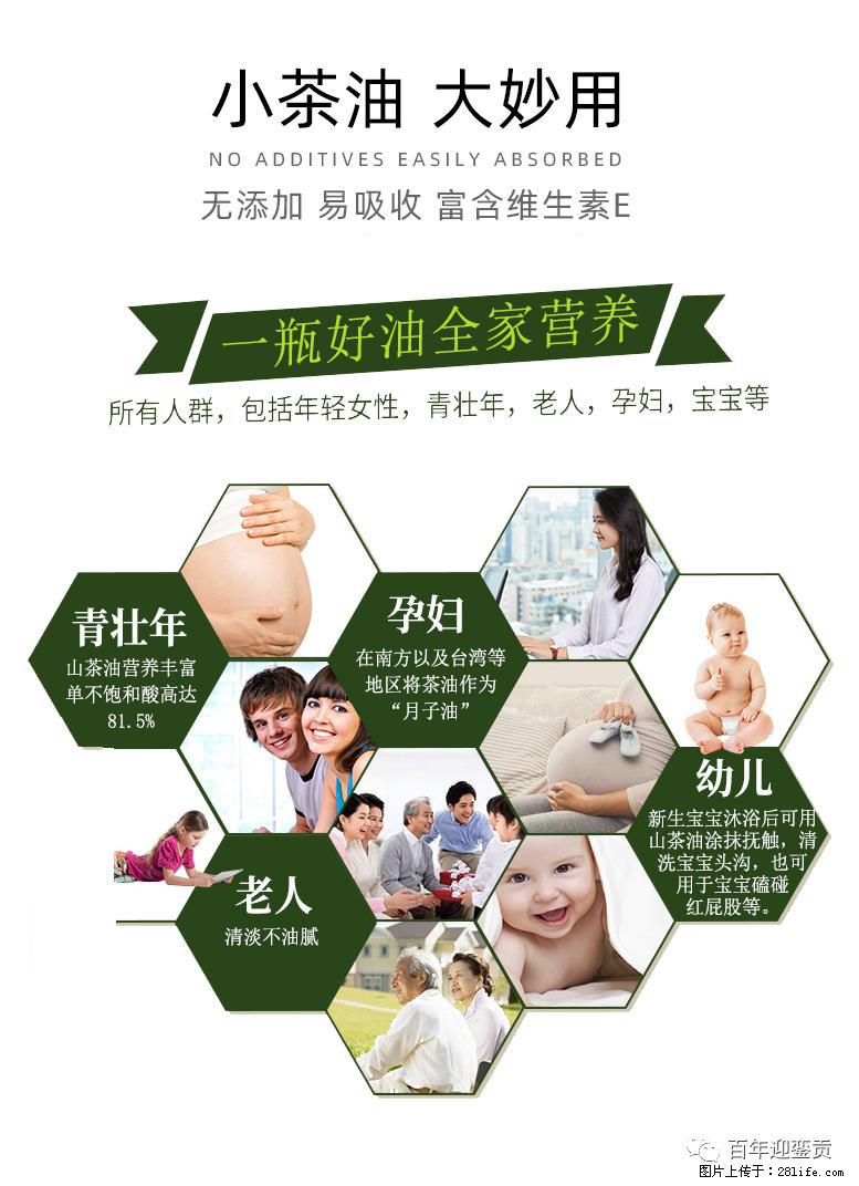 世界没有真相,只有认知,最好的食用油是中国的山茶油! - 河源生活资讯 - 河源28生活网 heyuan.28life.com