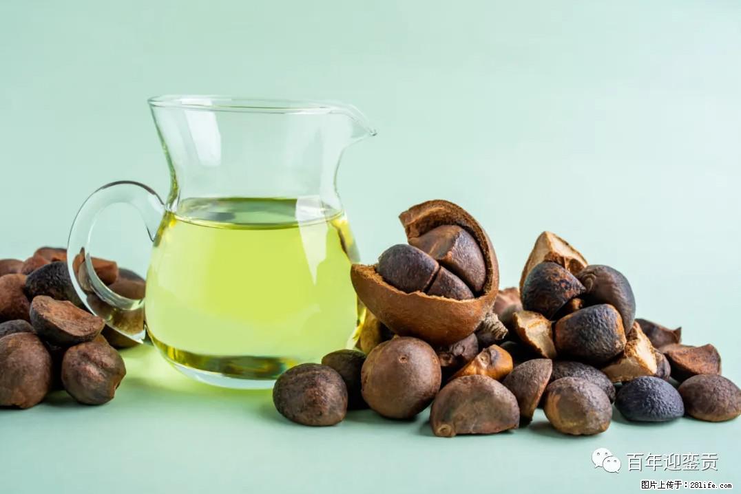 世界没有真相,只有认知,最好的食用油是中国的山茶油! - 河源生活资讯 - 河源28生活网 heyuan.28life.com