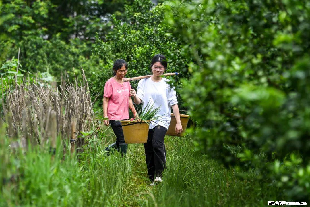 全网追的“扁担女孩”,找了一份暑假工,时薪12元 - 河源生活资讯 - 河源28生活网 heyuan.28life.com
