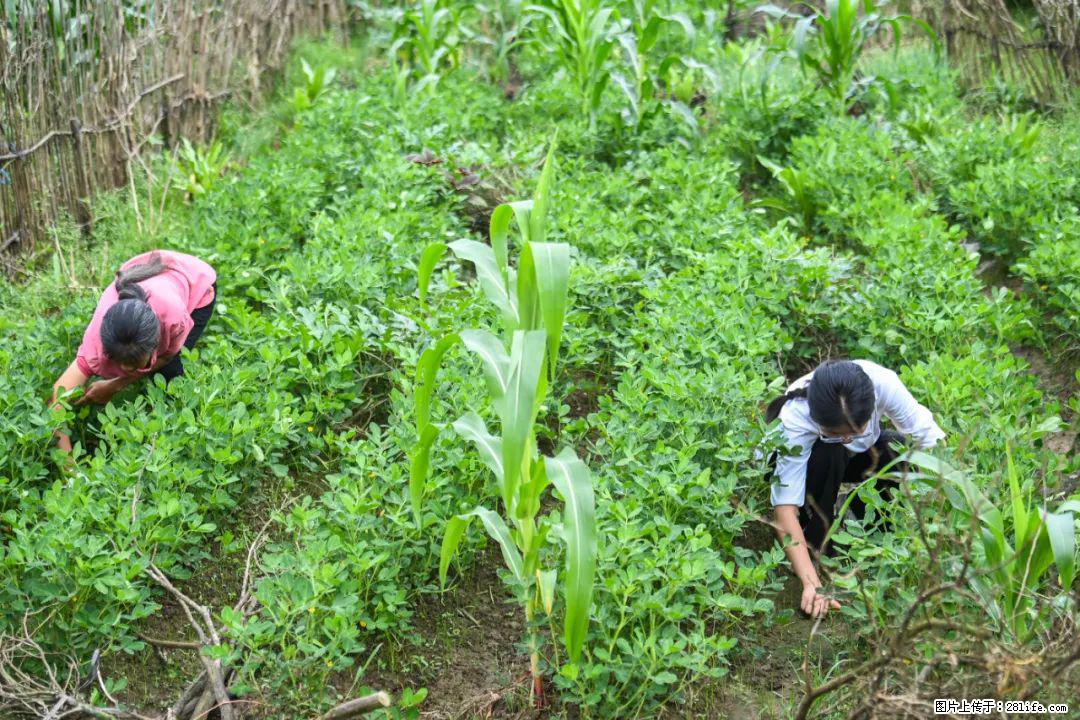 全网追的“扁担女孩”,找了一份暑假工,时薪12元 - 河源生活资讯 - 河源28生活网 heyuan.28life.com