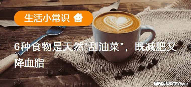 【生活小常识】6种食物是天然“刮油菜”，既减肥又降血脂 - 河源生活资讯 - 河源28生活网 heyuan.28life.com