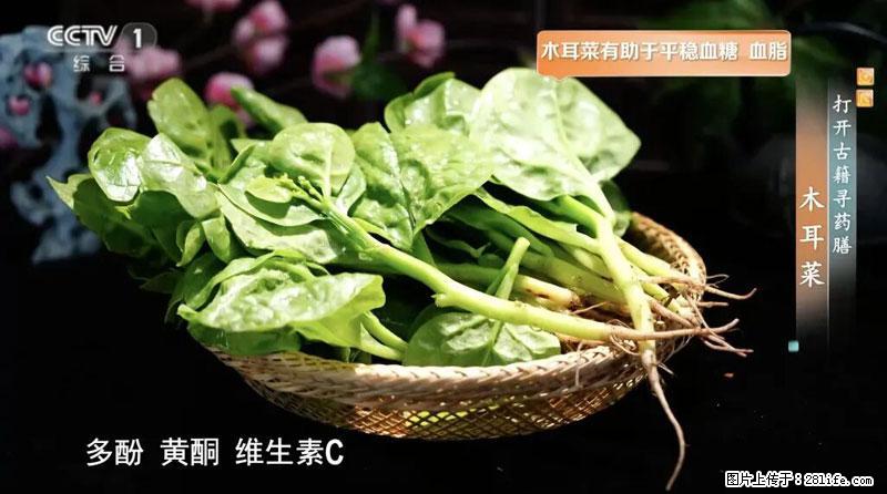 比牛奶补钙还厉害！凉血解毒、稳血糖...这菜冬天必吃，很多人却当草 - 河源生活资讯 - 河源28生活网 heyuan.28life.com
