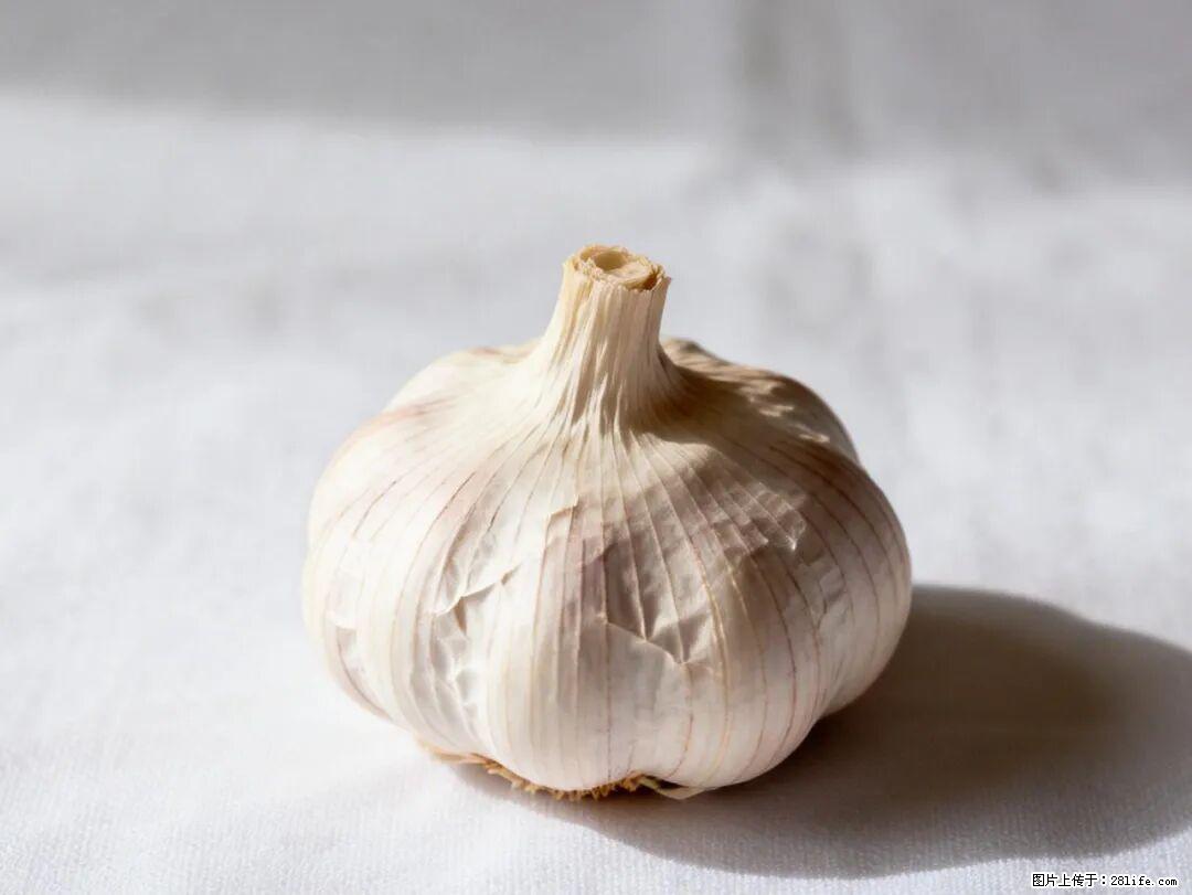 关于大蒜，除了“天然抗生素”，这4个谣言更该警惕! - 河源生活资讯 - 河源28生活网 heyuan.28life.com