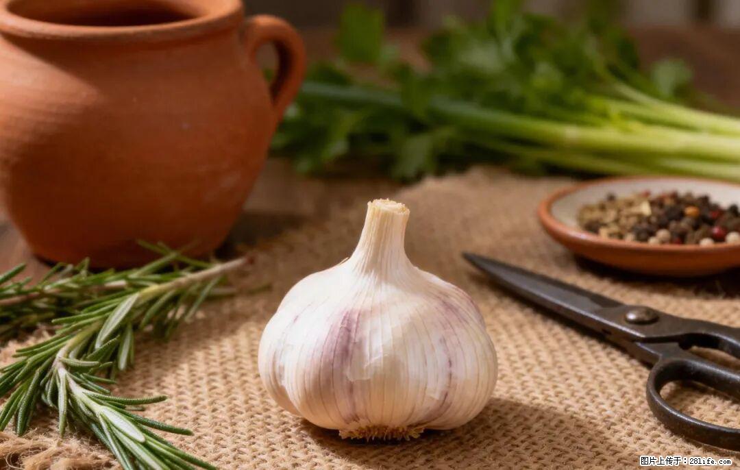 关于大蒜，除了“天然抗生素”，这4个谣言更该警惕! - 河源生活资讯 - 河源28生活网 heyuan.28life.com