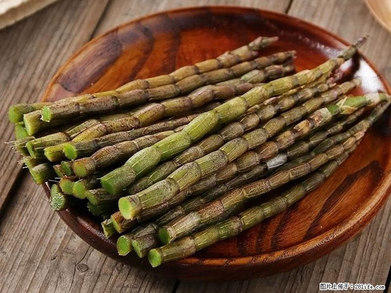 铁皮石斛的作用与功能主治 - 河源生活资讯 - 河源28生活网 heyuan.28life.com