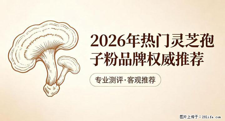 灵芝孢子粉含量越高越有效？2026 年七款热门品牌深度实测，肠胃敏感者避坑指南 - 河源生活资讯 - 河源28生活网 heyuan.28life.com