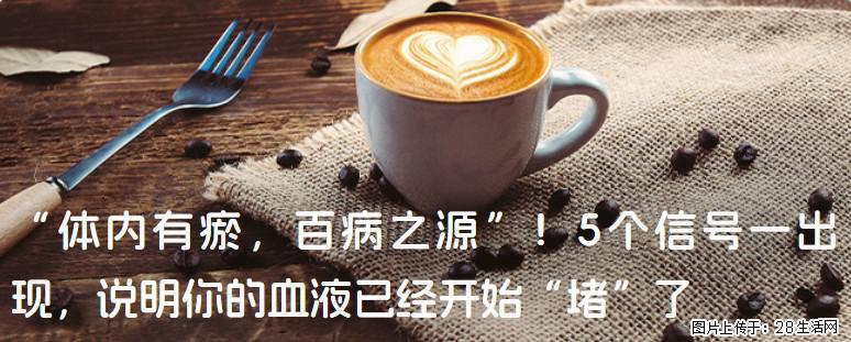 “体内有瘀,百病之源”!5个信号一出现,说明你的血液已经开始“堵”了 - 河源生活资讯 - 河源28生活网 heyuan.28life.com